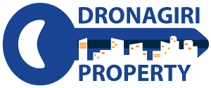 dronagiriproperty.com